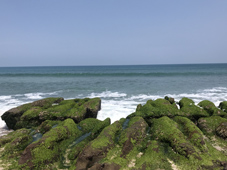 如何預防及治療氣喘及過敏相關疾病(相關圖片)