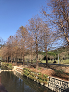 癌症照護團隊   讓您最安心(相關圖片)