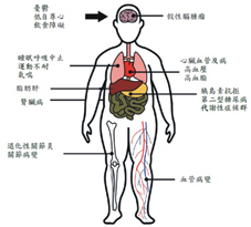 孩子健康體位促進的關鍵時刻(相關圖片)