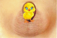 蛋蛋不見了?   談『伸縮性睪丸』(相關圖片)