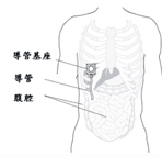 精準醫療科技  婦科疾病的蛻變及創新(相關圖片)