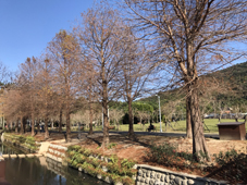 本院榮耀獲頒-台灣醫療典範獎、台灣醫療貢獻獎及防疫特殊貢獻獎(相關圖片)