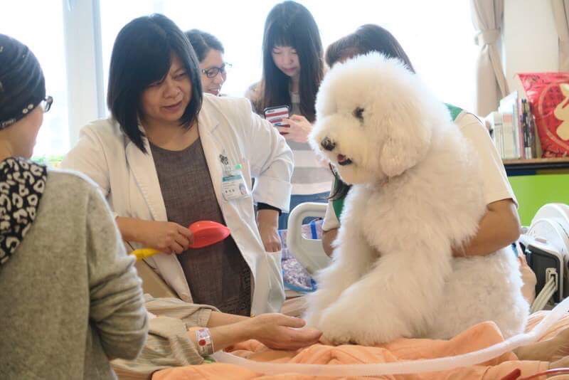 安寧療護陪你走最後一哩路！(相關圖片)