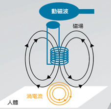 亞東形美 開賣六塊肌(相關圖片)