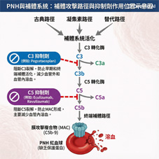 當免疫系統誤傷自己   認識罕見血液疾病「陣發性夜間血紅素尿症」(相關圖片)