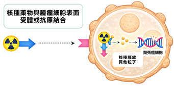 跨團隊整合照護 新北首例「攝護腺癌」治療新里程(相關圖片)