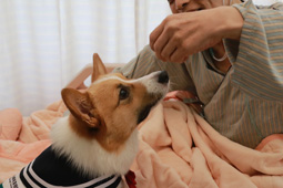 十載馨香  守護善終  亞東醫院「馨寧病房」十週年(相關圖片)