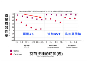 新冠病毒疫苗追加劑  你(妳)打了嗎？(相關圖片)