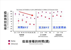 新冠病毒疫苗追加劑  你(妳)打了嗎？(相關圖片)
