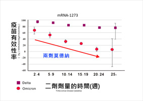 新冠病毒疫苗追加劑  你(妳)打了嗎？(相關圖片)