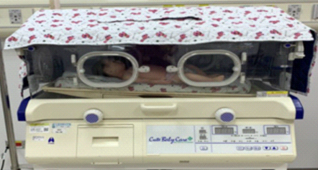 期待你長大  迎接巴掌仙子的到來(相關圖片)