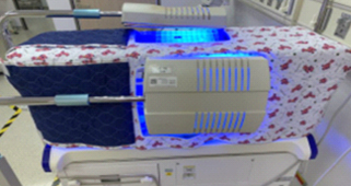 期待你長大  迎接巴掌仙子的到來(相關圖片)