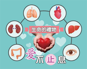 生命的禮物(相關圖片)