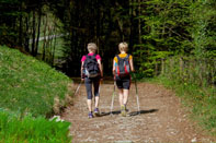 夏日戶外爬山及遊玩  小心毒蛇咬傷(相關圖片)