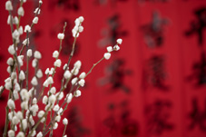 聖誕傳愛580   聖誕節關懷活動(相關圖片)