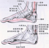 以中醫角度  看更年期疾病障礙(相關圖片)