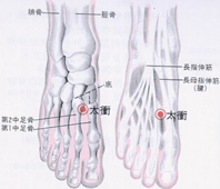 以中醫角度  看更年期疾病障礙(相關圖片)