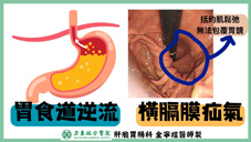搞懂胃潰瘍與胃食道逆流  專科醫師全解析(相關圖片)