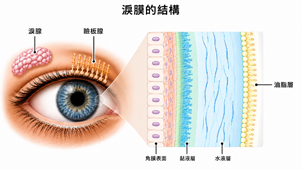 數位時代下的乾眼症危機(相關圖片)