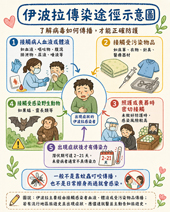 伊波拉病毒怎麼傳 預防與警訊全解析(相關圖片)