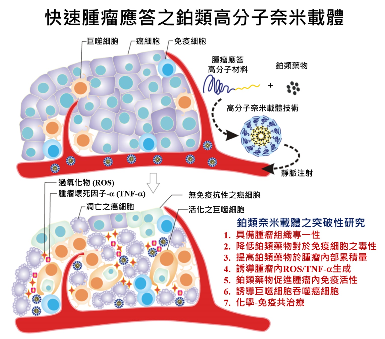 1116_奈米級抗癌新藥 抑制腫瘤達雙效-2